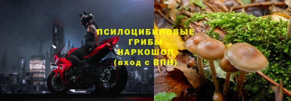 круглые Аркадак