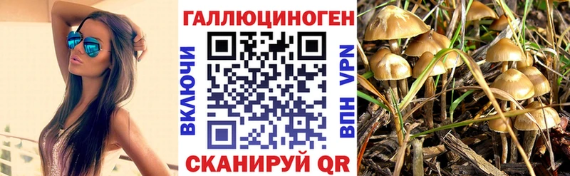 сколько стоит Циолковский Галлюциногенные грибы мицелий